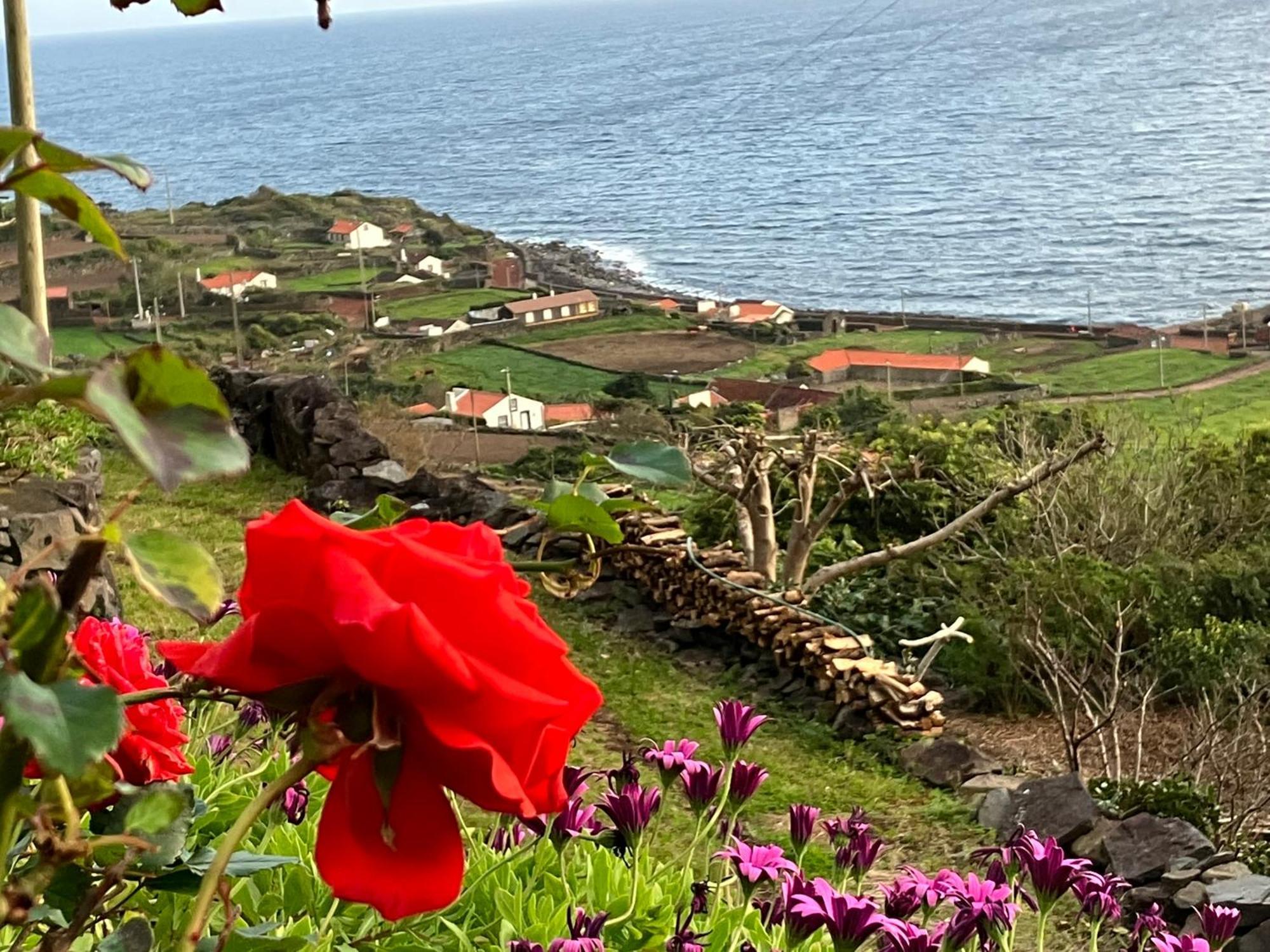 Vistalinda Cabins Calheta  외부 사진